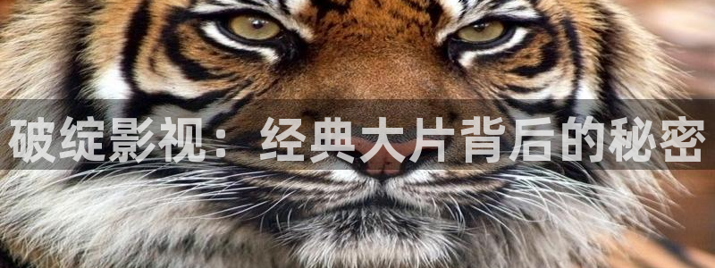 神马电影88窥
