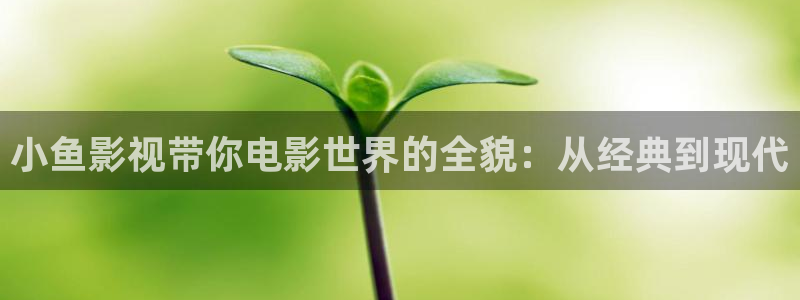 神马电影土鳖网