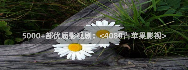 神马影院在线免费视频