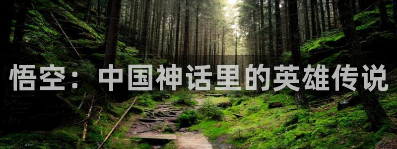 www.神马手机影院