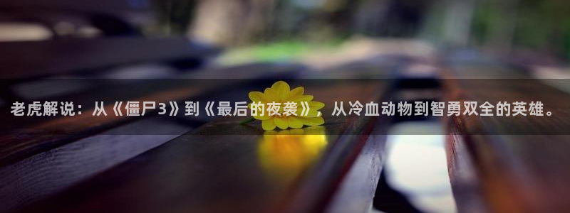神马秋霞电影