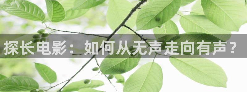 神马午夜电影院在线观看