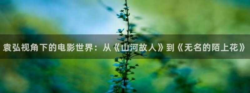 狂飙神马影视