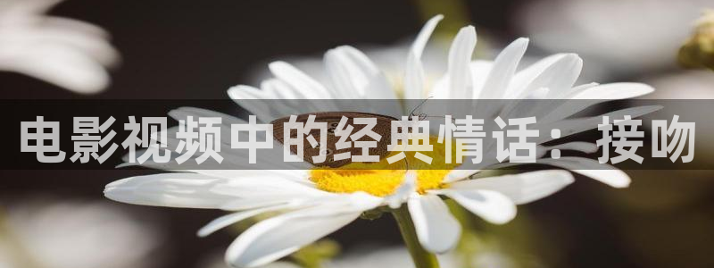 电影神马伦理片