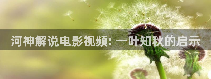 八戒八戒神马手机影院