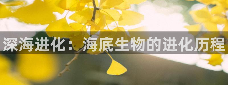 原来神马在线观看电影