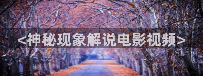 我不卡神马影院伦理