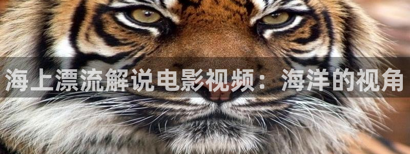 神马第九我不卡影院