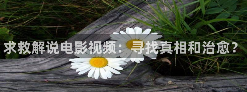 神马电影玩