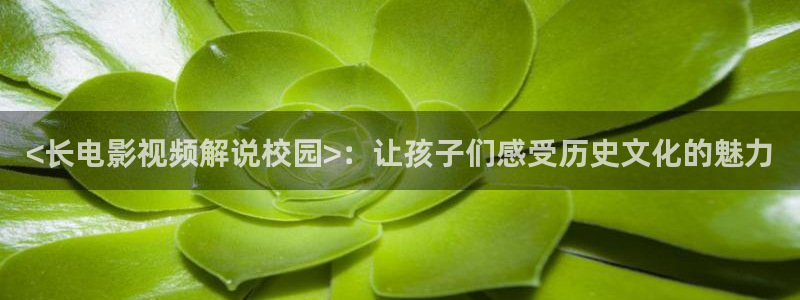 神马电影网秋霞电影网
