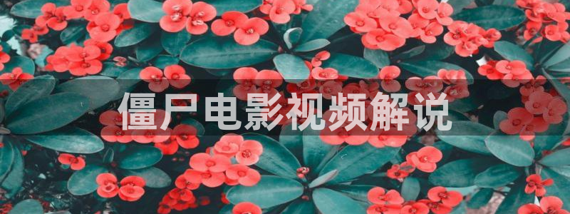 黑狐影院神马电影官网