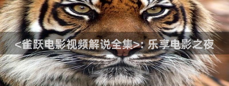 原神马电影网