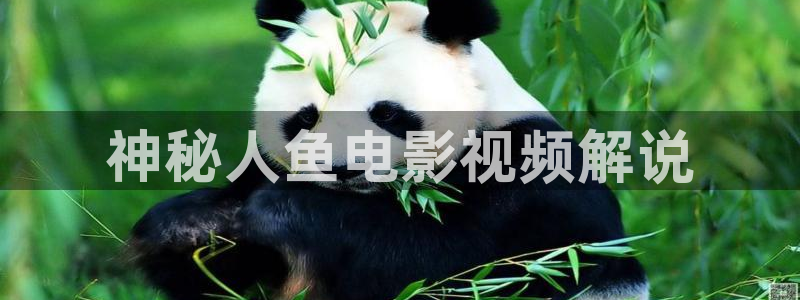 神马电影三级
