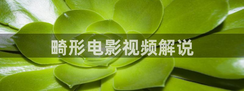 神马影院第九午夜影院