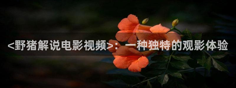 狼群神马手机影院