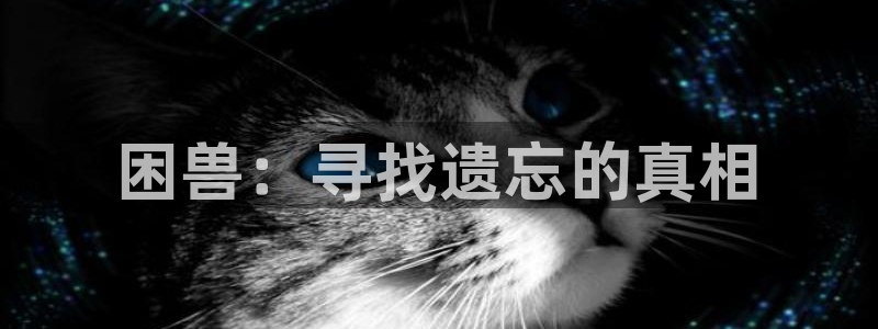 神马影视51