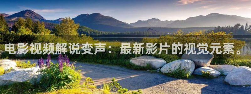 神马电影伦理在线播放