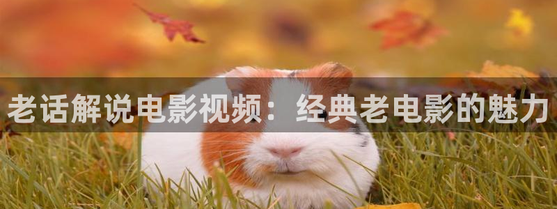 神马电影院理伦片