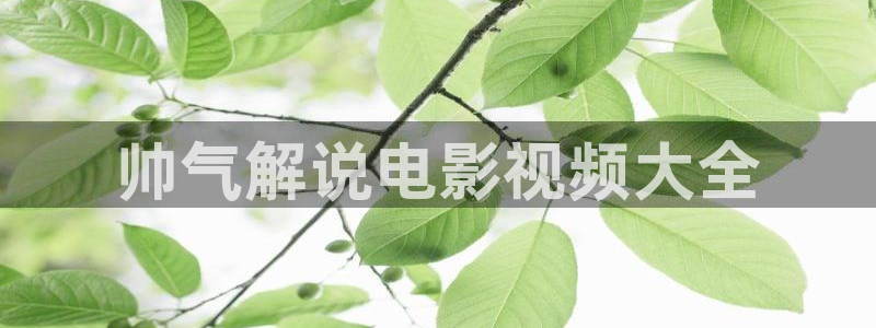 神马电影黄