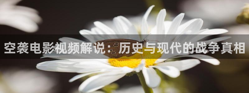 神马影院在线手机影院在线播放