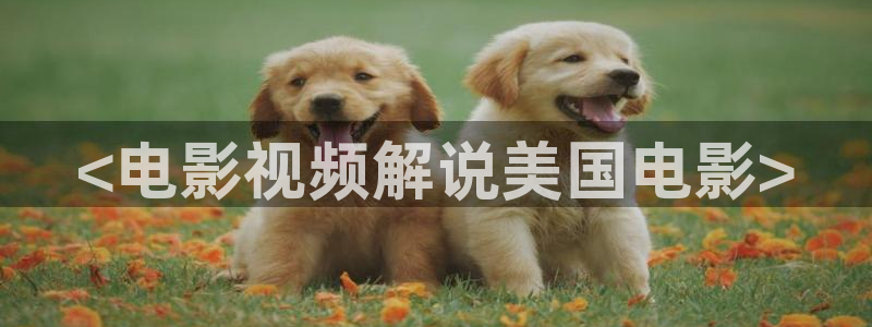 达达兔神马电影小蝌蚪午夜