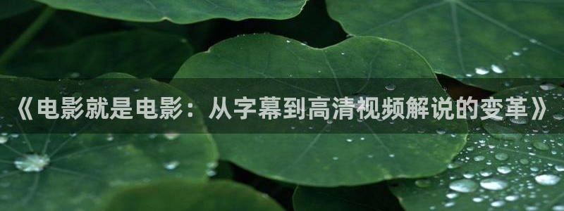 无敌手机神马影院手机版观看