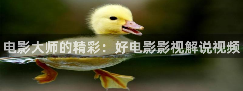 免费神马电影理伦片
