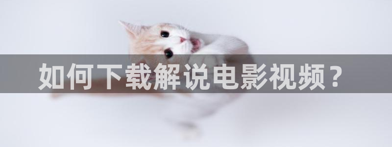 神马影院y6080