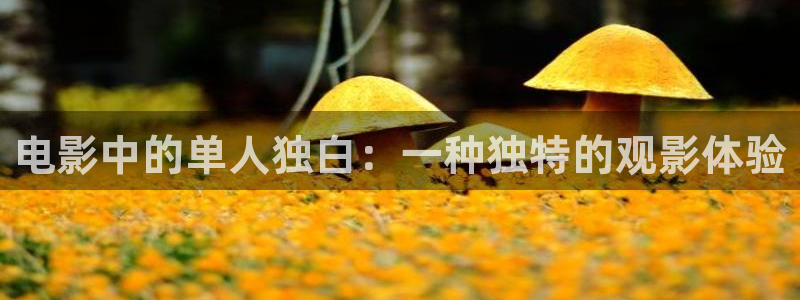 神马电影我不卡电影院