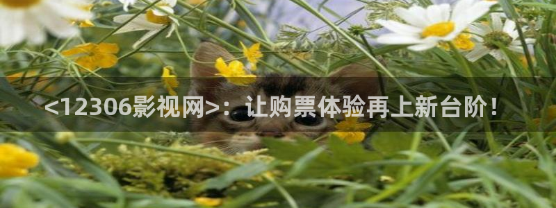 神马电影九