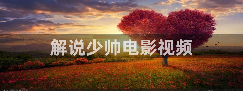新的哥哥神马影院