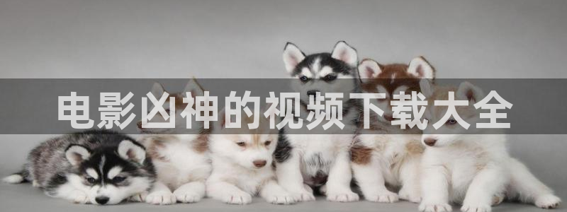 神马97在线观看