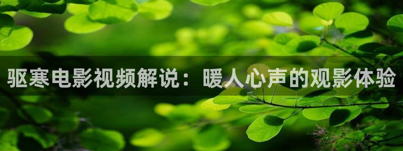 第六影院神马电影达达兔