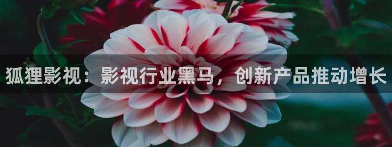 达达兔神马影院