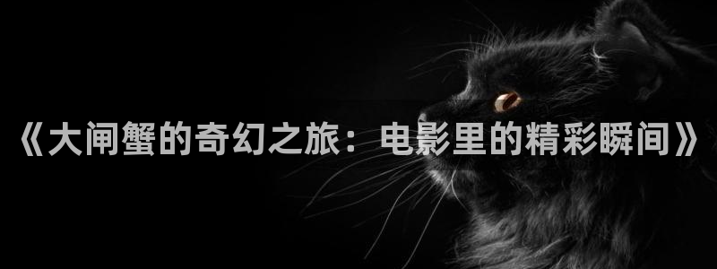 国产神马电影