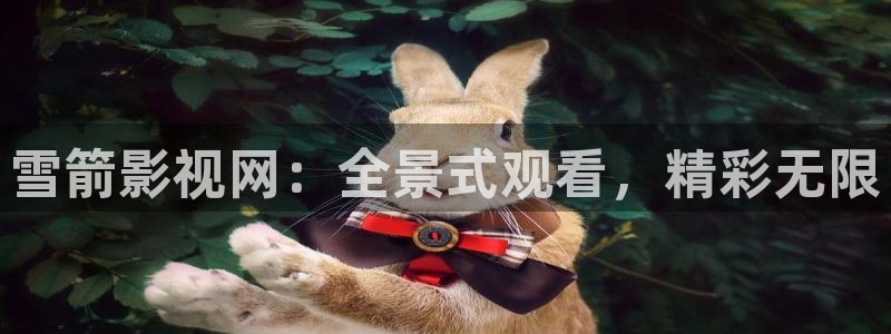 八戒八戒神马影院www动漫