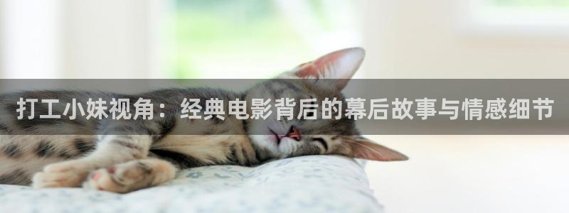 无敌神马影院手机版电视剧