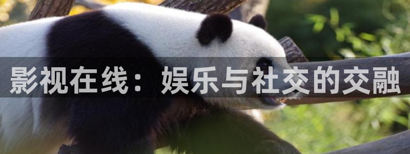神马福利伦理片