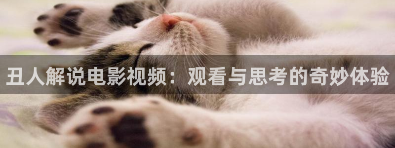 我不卡影院 神马
