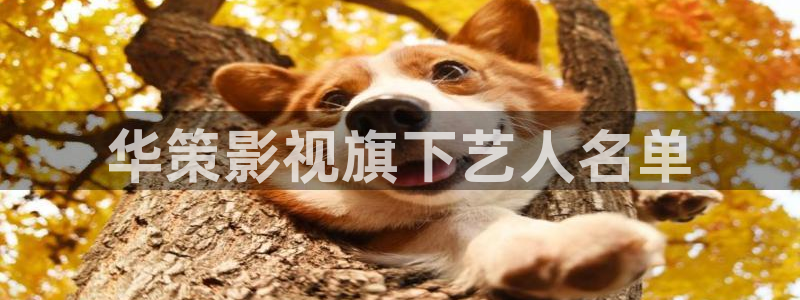 神马达达兔影视电视剧大全免费观看