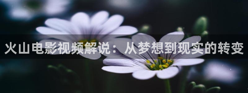 神马电影伦理在线