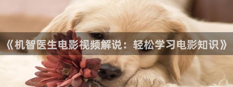 神马特片网
