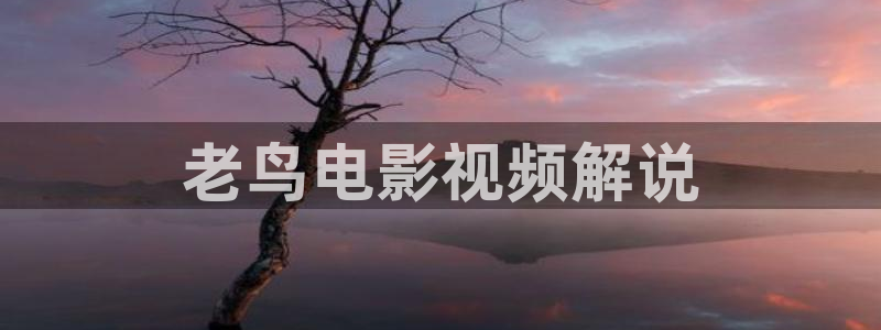dy888神马我不卡
